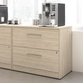 2 Drawer Lateral File Cabinet
