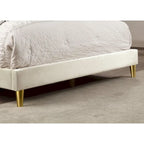 Glam Beige Fully Upholstered Platform Bed with Gold-tone Accents by